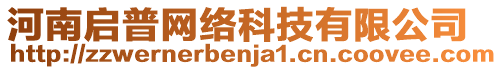 河南啟普網(wǎng)絡(luò)科技有限公司