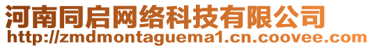 河南同啟網(wǎng)絡(luò)科技有限公司