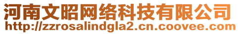 河南文昭網(wǎng)絡(luò)科技有限公司