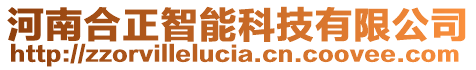 河南合正智能科技有限公司