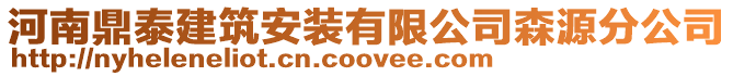 河南鼎泰建筑安裝有限公司森源分公司