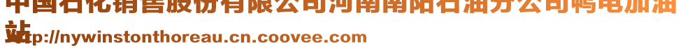 中國石化銷售股份有限公司河南南陽石油分公司鴨電加油
站