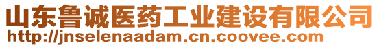 山東魯誠(chéng)醫(yī)藥工業(yè)建設(shè)有限公司
