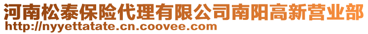 河南松泰保險(xiǎn)代理有限公司南陽(yáng)高新?tīng)I(yíng)業(yè)部