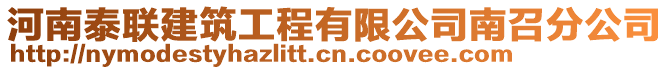 河南泰聯建筑工程有限公司南召分公司