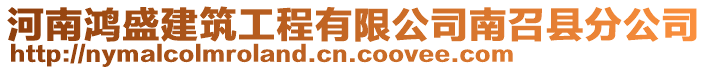 河南鴻盛建筑工程有限公司南召縣分公司