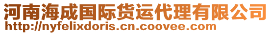 河南海成國(guó)際貨運(yùn)代理有限公司