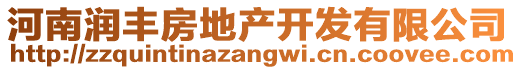 河南潤(rùn)豐房地產(chǎn)開(kāi)發(fā)有限公司