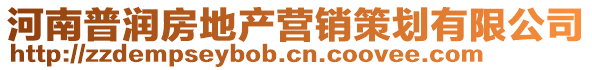 河南普潤(rùn)房地產(chǎn)營(yíng)銷策劃有限公司