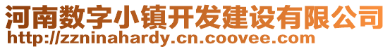 河南數(shù)字小鎮(zhèn)開發(fā)建設(shè)有限公司