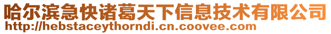 哈爾濱急快諸葛天下信息技術有限公司