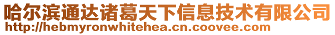 哈爾濱通達諸葛天下信息技術有限公司