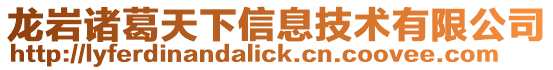 龍巖諸葛天下信息技術(shù)有限公司