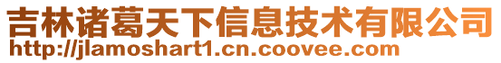 吉林諸葛天下信息技術有限公司