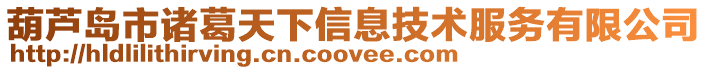 葫蘆島市諸葛天下信息技術服務有限公司