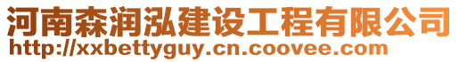 河南森潤泓建設工程有限公司