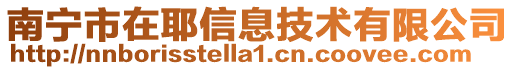 南寧市在耶信息技術有限公司