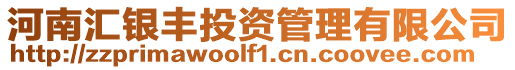 河南匯銀豐投資管理有限公司