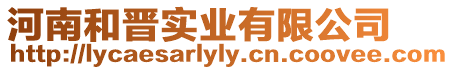 河南和晉實業有限公司