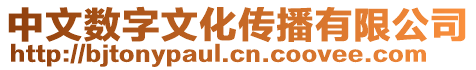 中文數字文化傳播有限公司