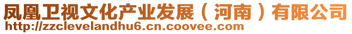 鳳凰衛(wèi)視文化產(chǎn)業(yè)發(fā)展(河南)有限公司