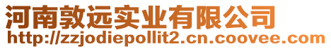 河南敦遠實業有限公司