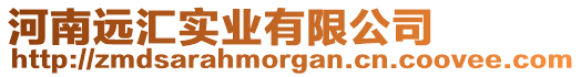 河南遠匯實業有限公司