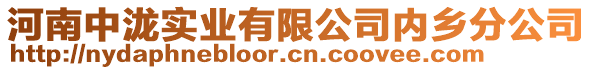 河南中泷实业有限公司内乡分公司