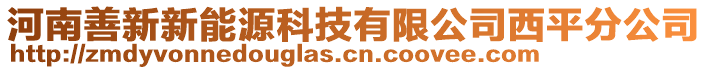 河南善新新能源科技有限公司西平分公司