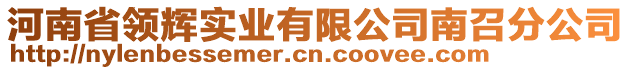 河南省領(lǐng)輝實(shí)業(yè)有限公司南召分公司