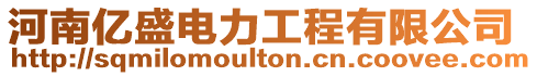 河南億盛電力工程有限公司