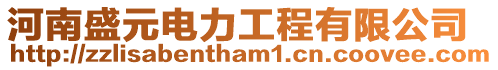 河南盛元電力工程有限公司