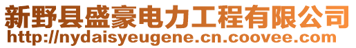 新野縣盛豪電力工程有限公司