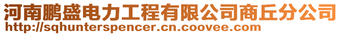 河南鵬盛電力工程有限公司商丘分公司