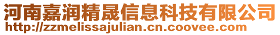 河南嘉潤(rùn)精晟信息科技有限公司