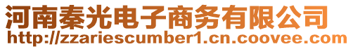 河南秦光電子商務有限公司