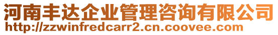 河南豐達企業(yè)管理咨詢有限公司