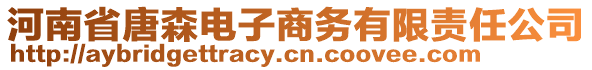 河南省唐森電子商務有限責任公司