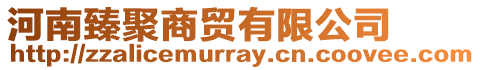 河南臻聚商貿有限公司