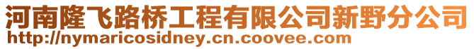 河南隆飛路橋工程有限公司新野分公司