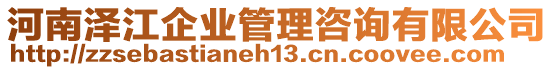 河南澤江企業(yè)管理咨詢有限公司