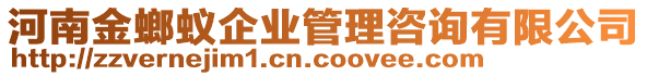 河南金螂蟻企業(yè)管理咨詢有限公司