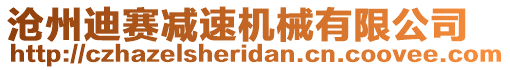 滄州迪賽減速機(jī)械有限公司