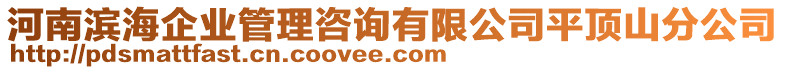 河南濱海企業(yè)管理咨詢有限公司平頂山分公司