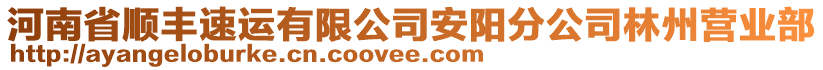 河南省順豐速運(yùn)有限公司安陽(yáng)分公司林州營(yíng)業(yè)部