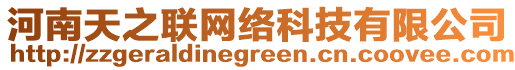 河南天之聯(lián)網(wǎng)絡科技有限公司