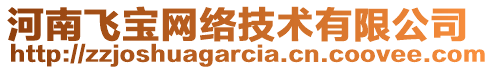 河南飛寶網(wǎng)絡(luò)技術(shù)有限公司