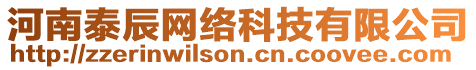 河南泰辰網(wǎng)絡(luò)科技有限公司