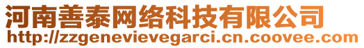 河南善泰網(wǎng)絡(luò)科技有限公司