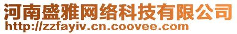 河南盛雅網(wǎng)絡(luò)科技有限公司